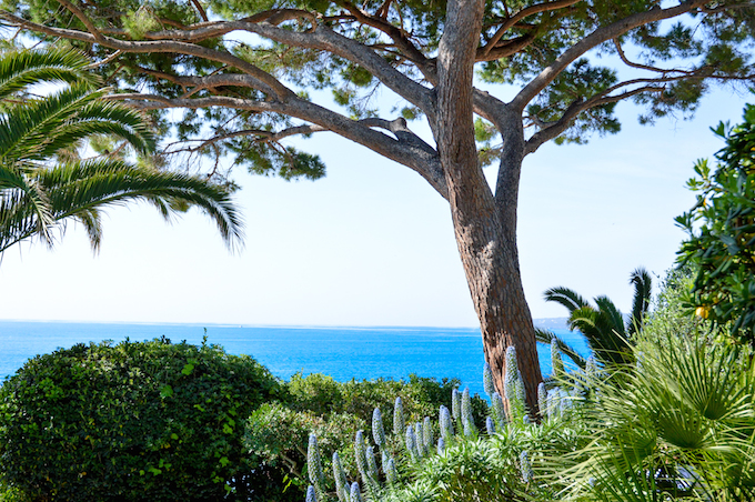 The gardens of Castel Mare in Cap d'Ail