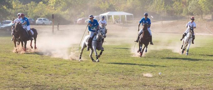 Polo at Callian in the South of France 2014 © Mike Colquhoun www.ateliermike.com