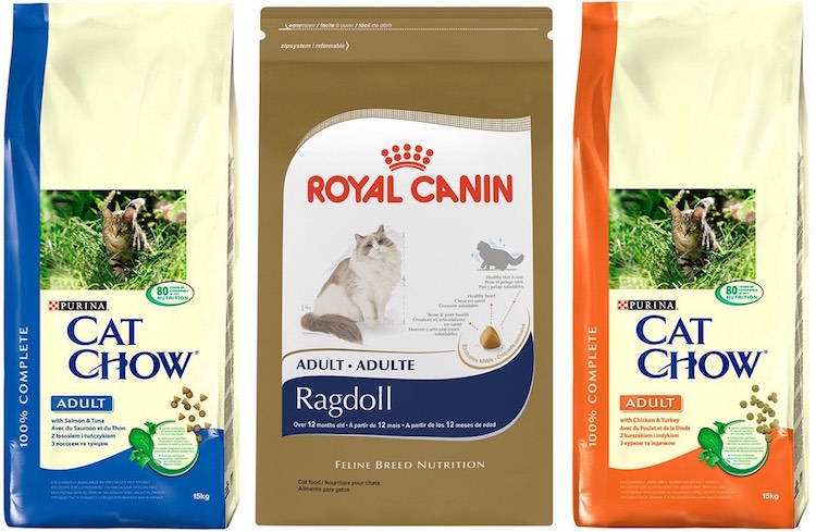 Royal Canin and Purina cat food for St. Petersburg cats