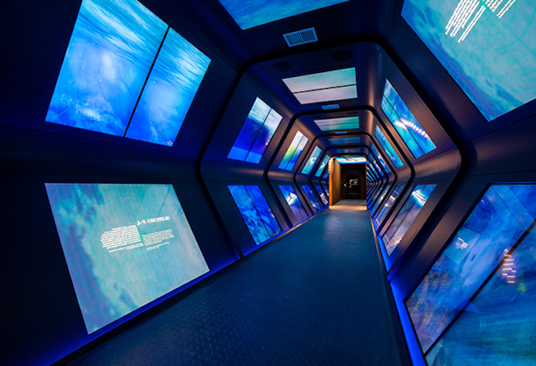 espace cousteau at Musée Océanographique