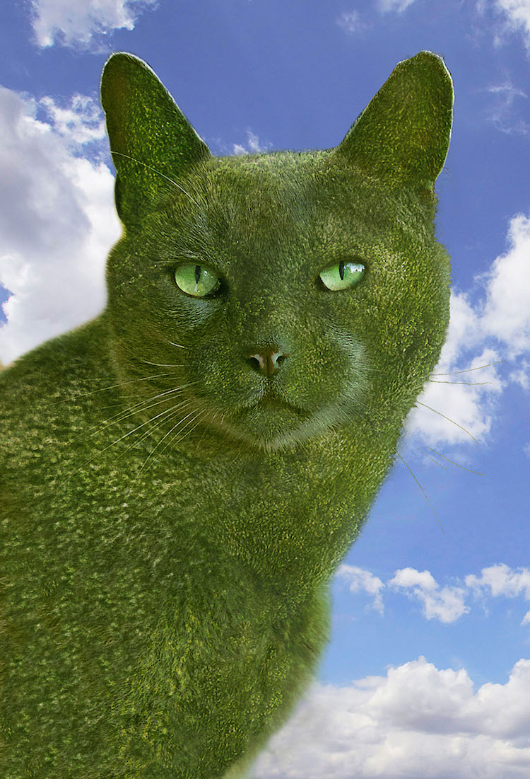 The Topiary Cat's Portrait.jpg