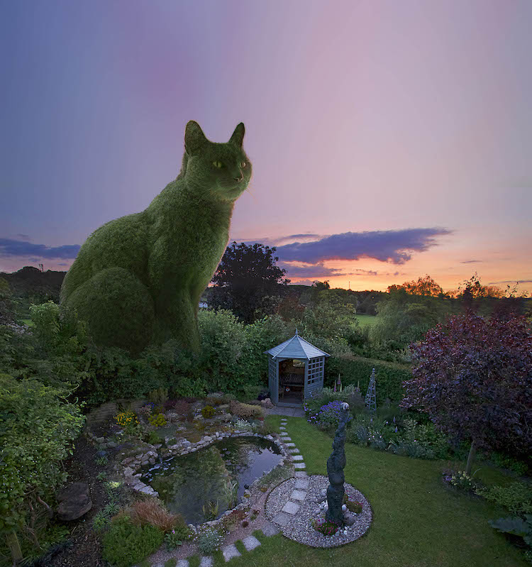 Topiary Cat