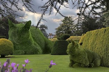 The Topiary Cat