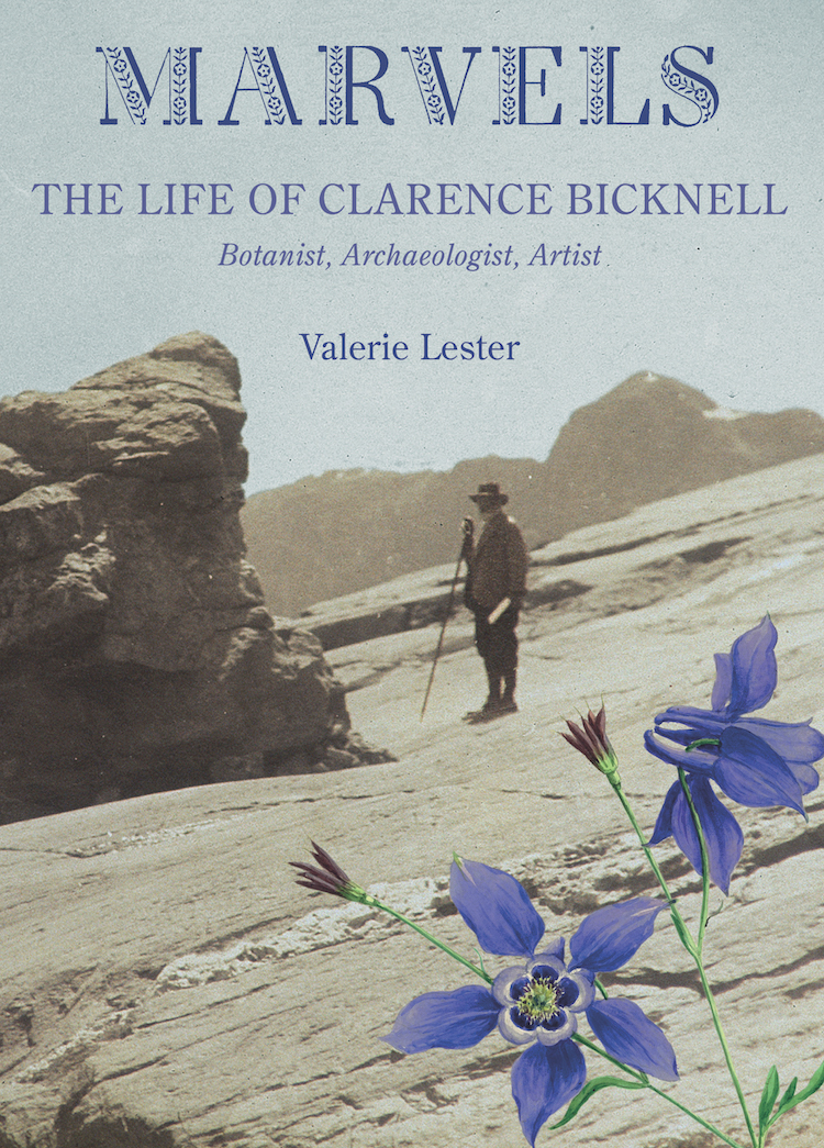 Clarence Bicknell Marvels