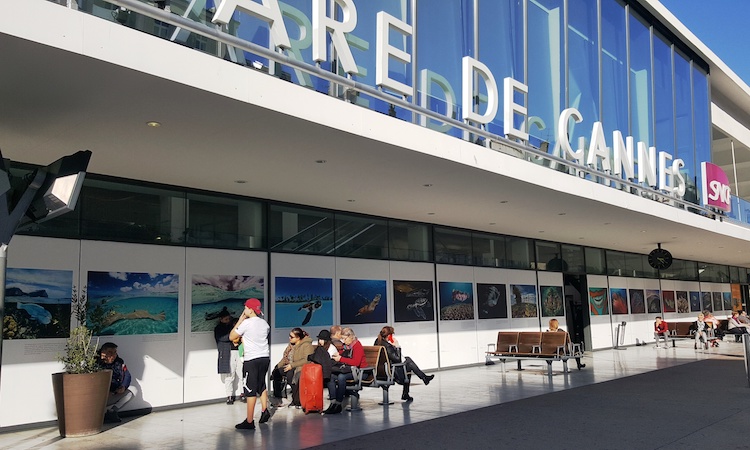 Expo Doubilet Gare de Cannes