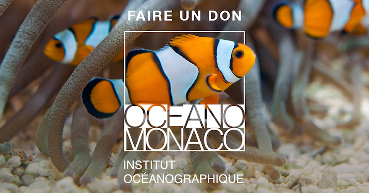 Donate to Oceanographic Museum in Monaco