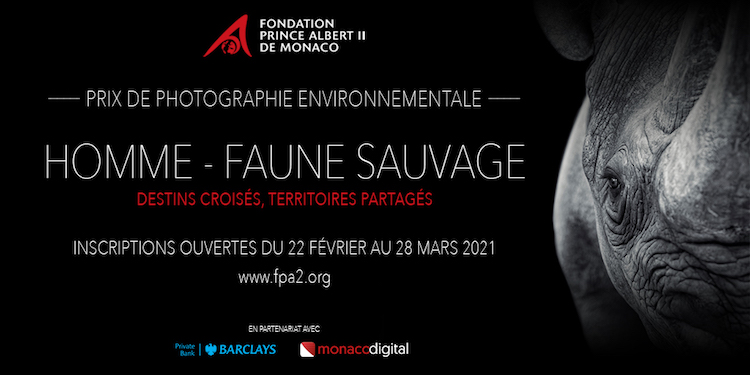 homme faune sauvage photo Expo