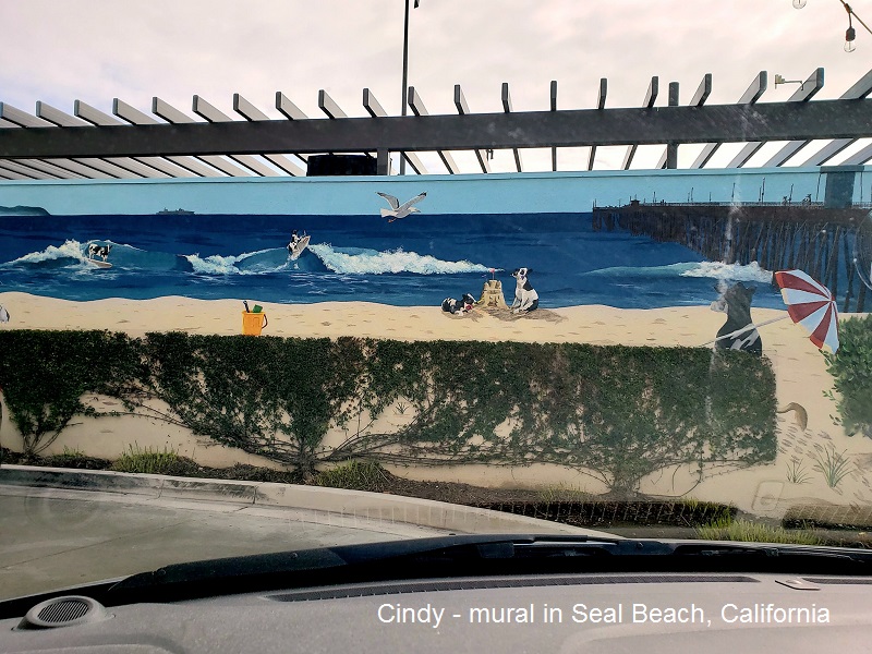 Cindy - mural in Seal Beach CA