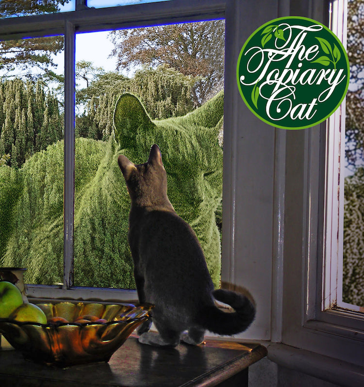 Tolly the Topiary Cat