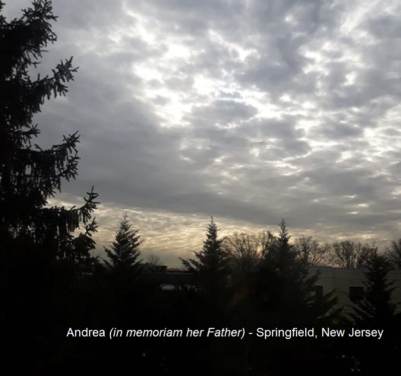 Andrea (in memoriam her father) - Springfield NJ