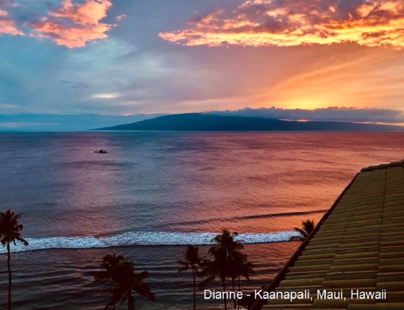 Dianne - Kaanapali Maui HI