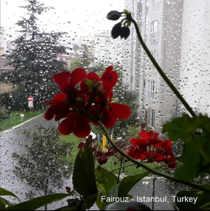 Fairouz - Istanbul Turkey