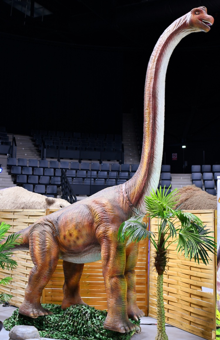 Dinosaur expo