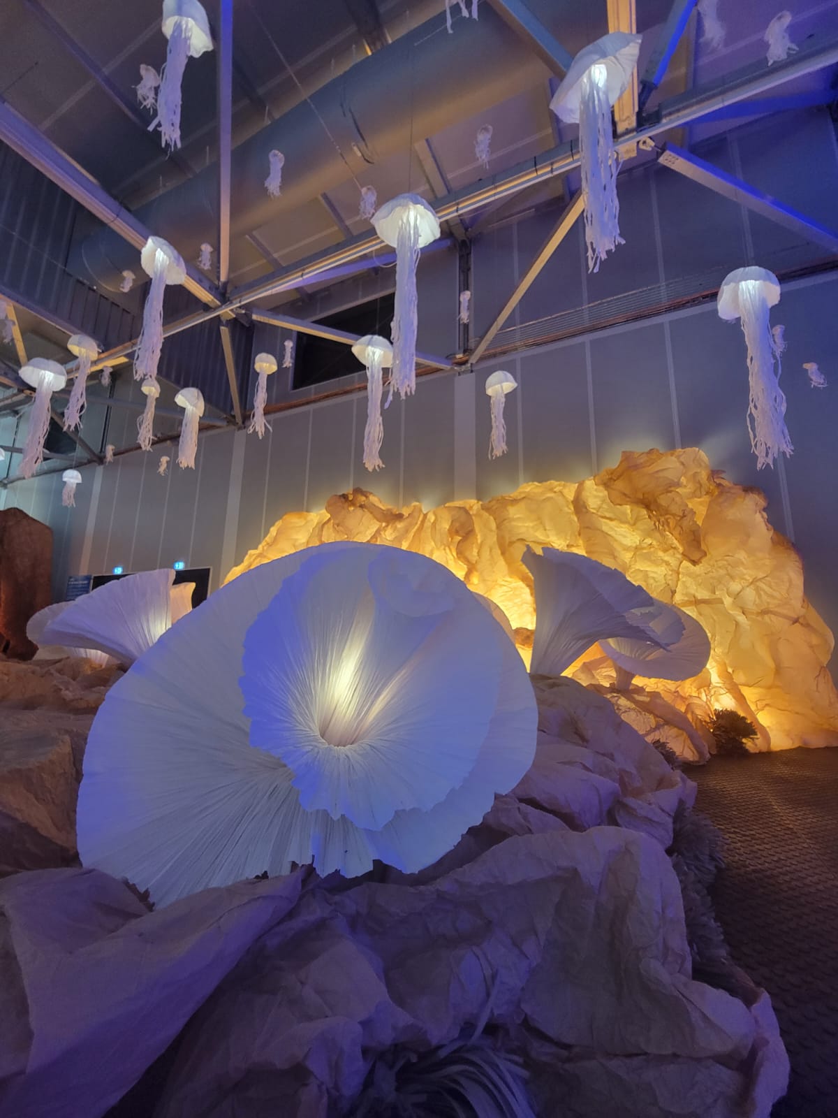 Léa's Ocean by Junior Fritz Jacquet - expo in Nice