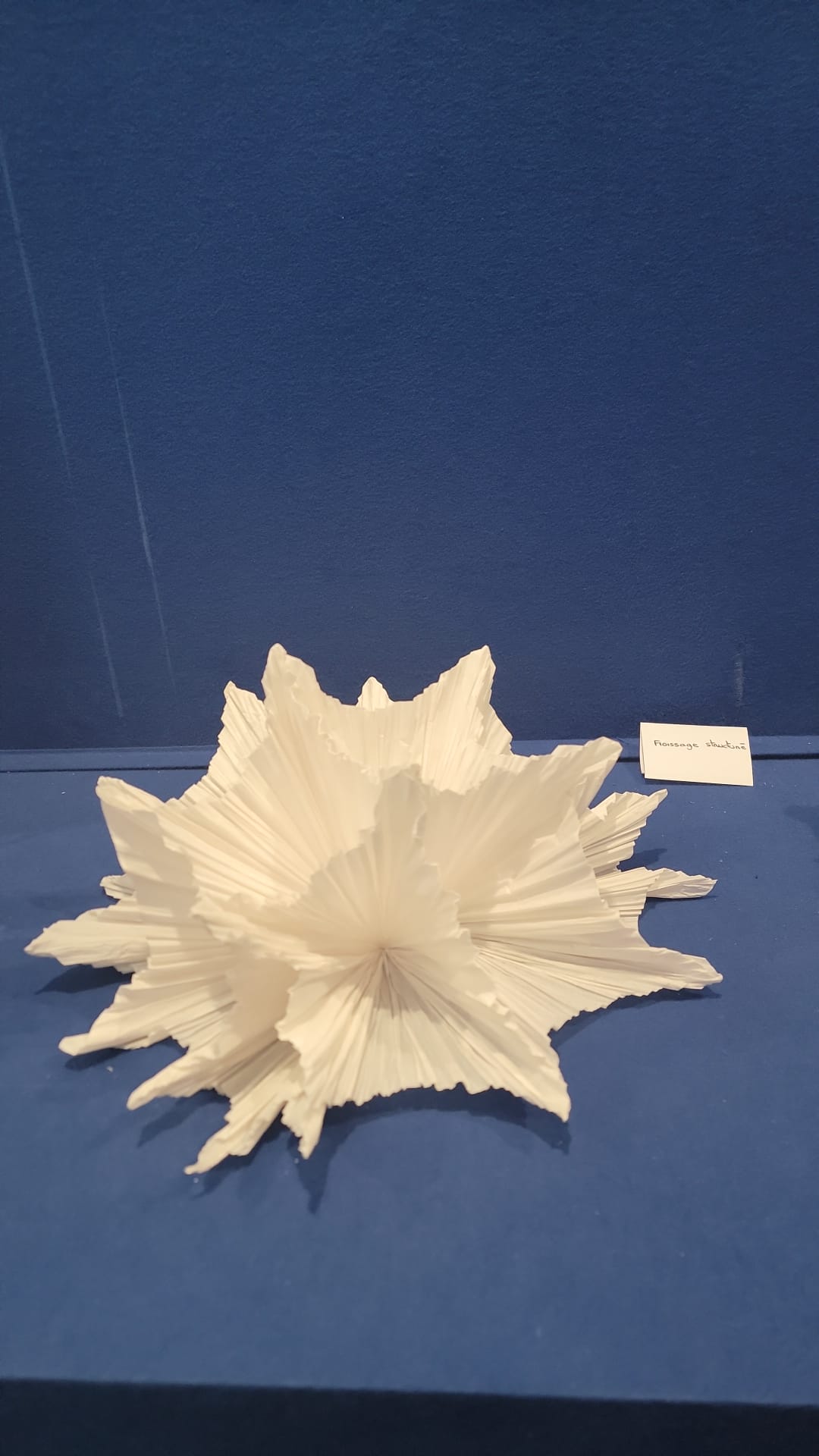 Léa's Ocean by Junior Fritz Jacquet - expo in Nice