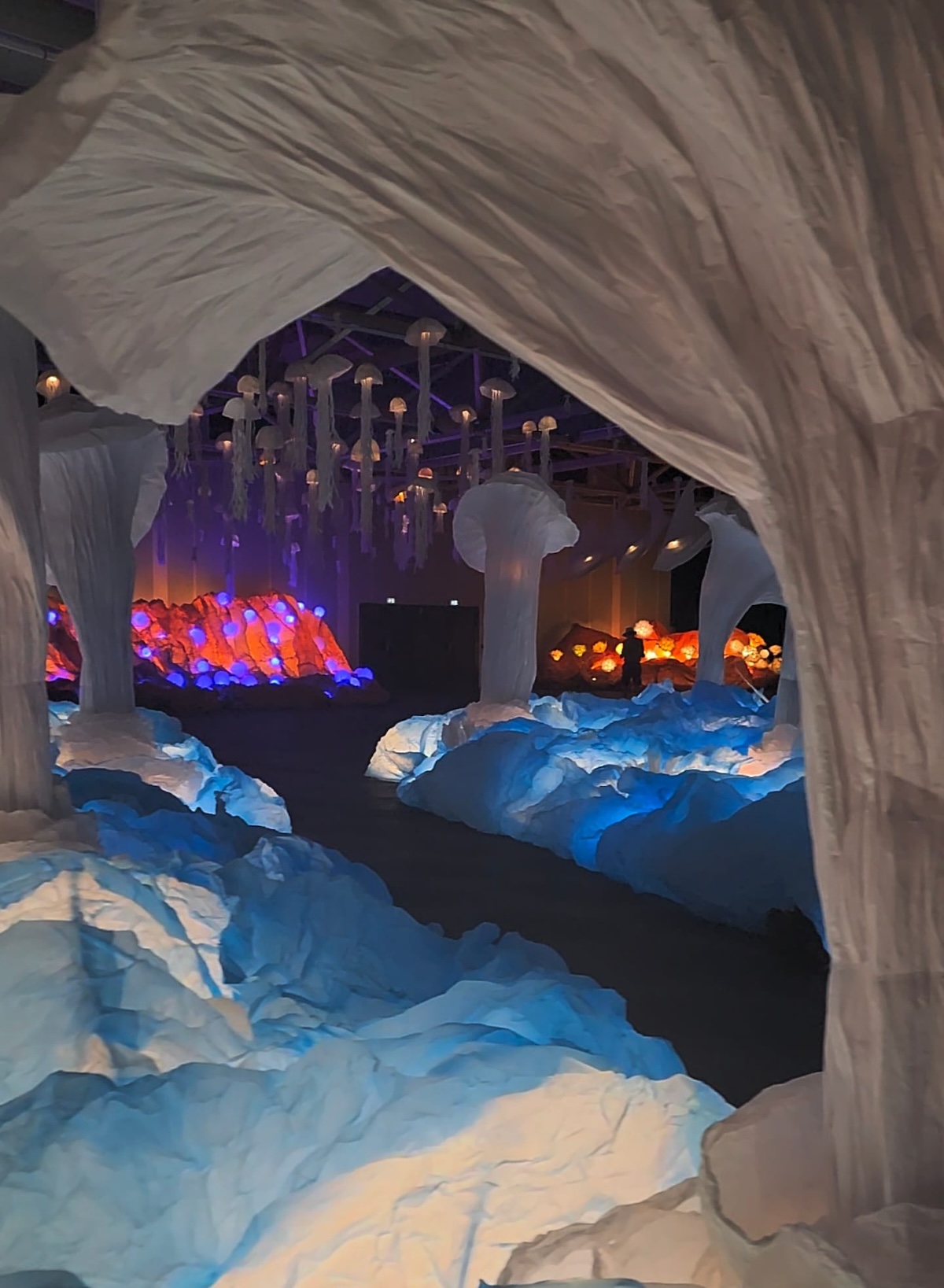Léa's Ocean by Junior Fritz Jacquet - expo in Nice