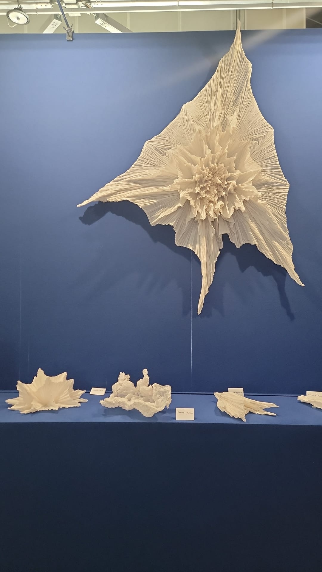Léa's Ocean by Junior Fritz Jacquet - expo in Nice