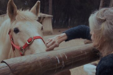 Photo du film - courtesy Timpel Pictures