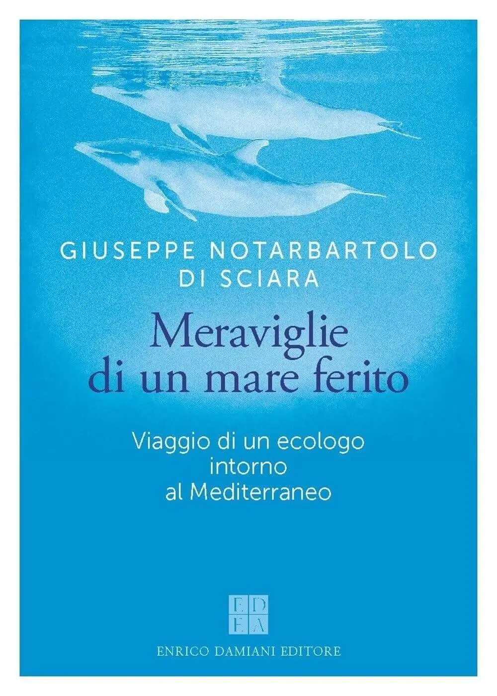 Meraviglie di un mare ferito book cover