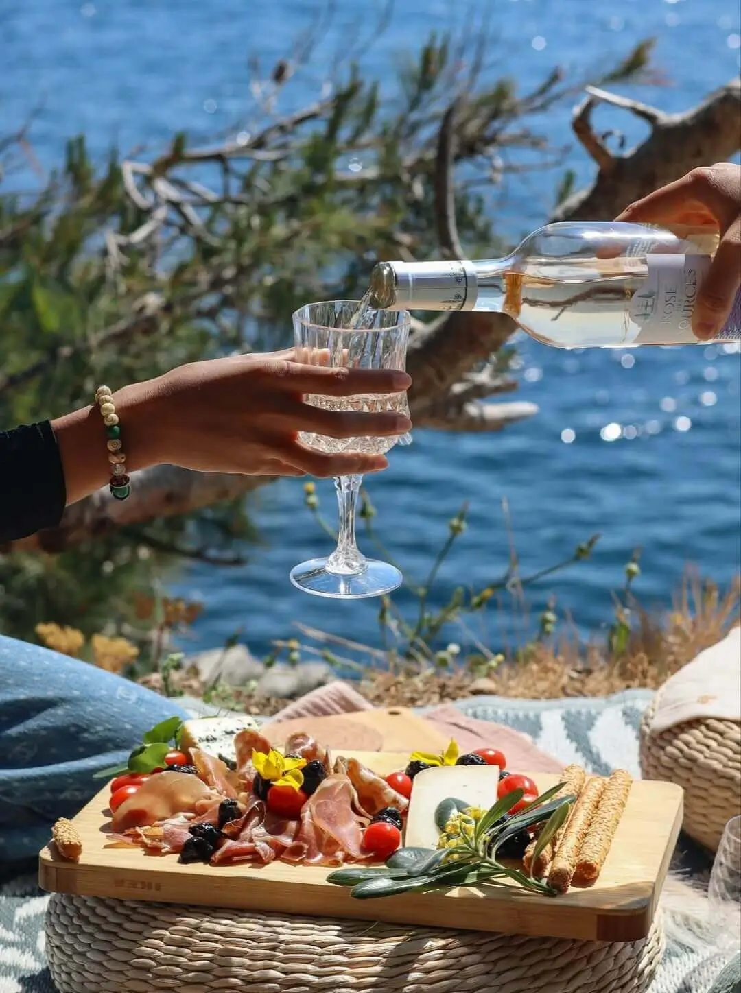 The Nice Picnic