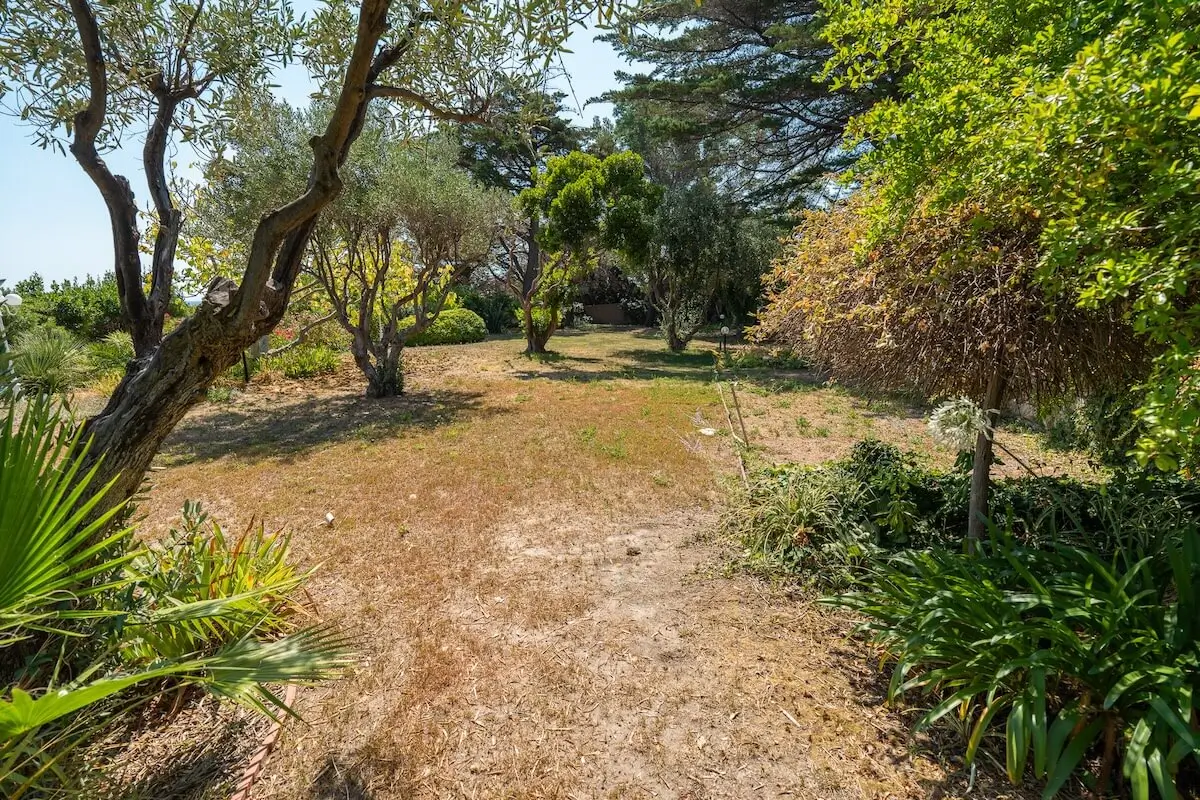 Villa Hélios – Le Trayas - auction - garden