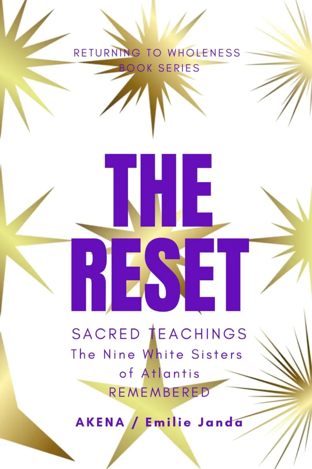 The Reset by Akena book cover