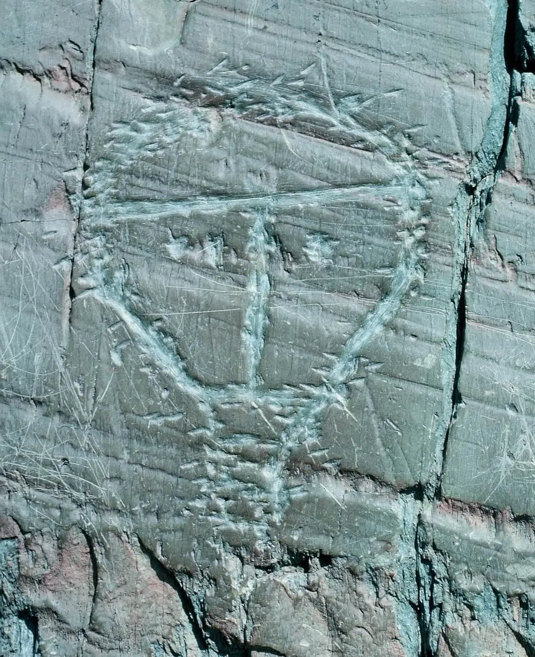 Photo by Philippe Kurlapski - Private work, CC BY 2.5, https://commons.wikimedia.org/w/index.php?curid=793003