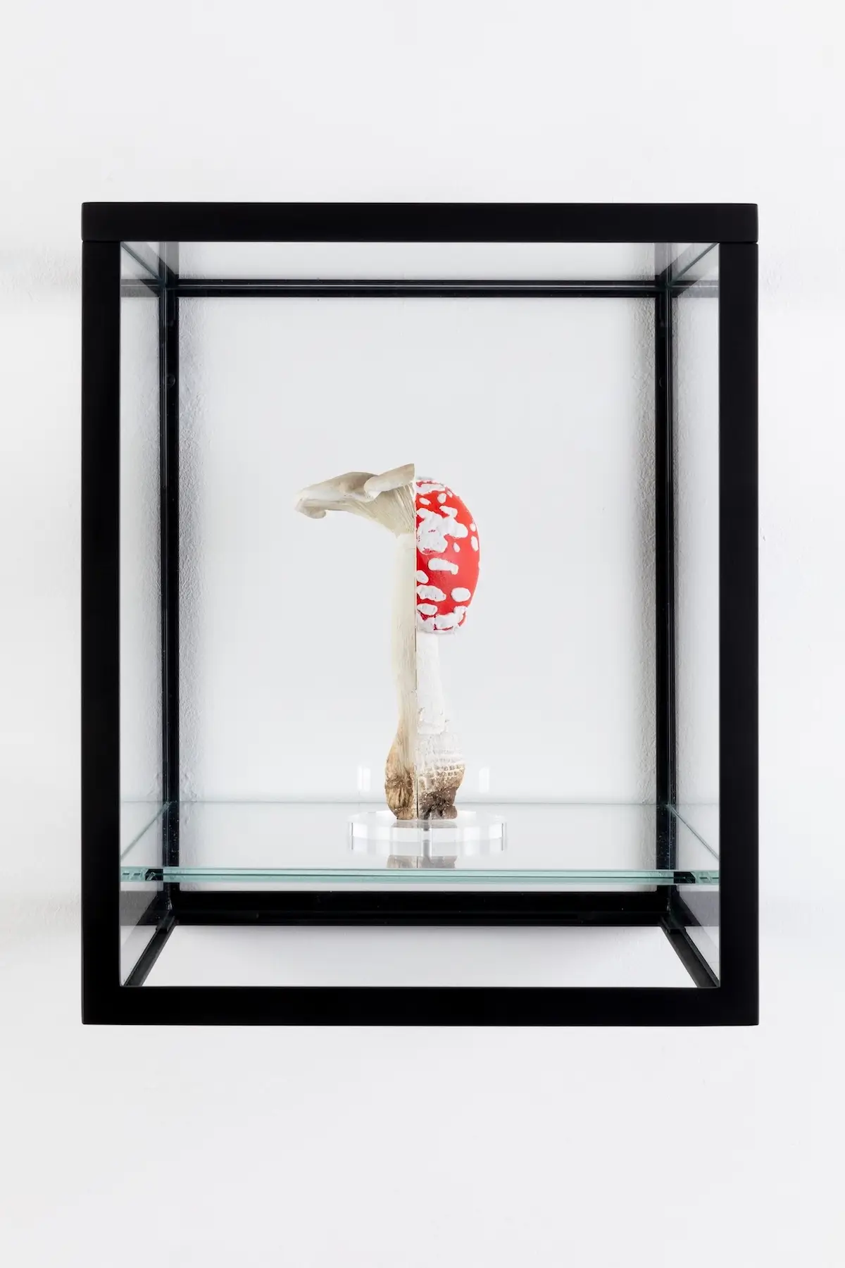 Champignon Sculpture : Crédits : Carsten Höller / Massimodecarlo / VogelART