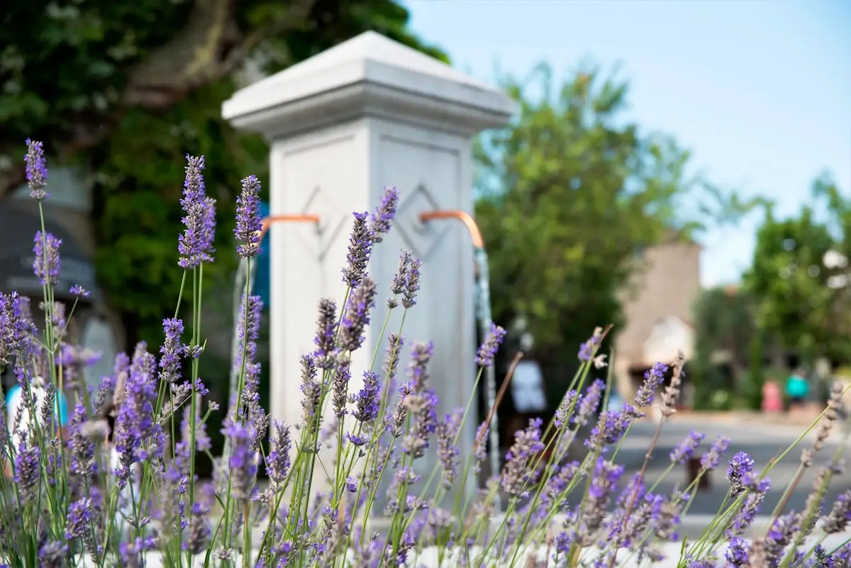 Fountain in Mougins - Photo © Ville de Mougins