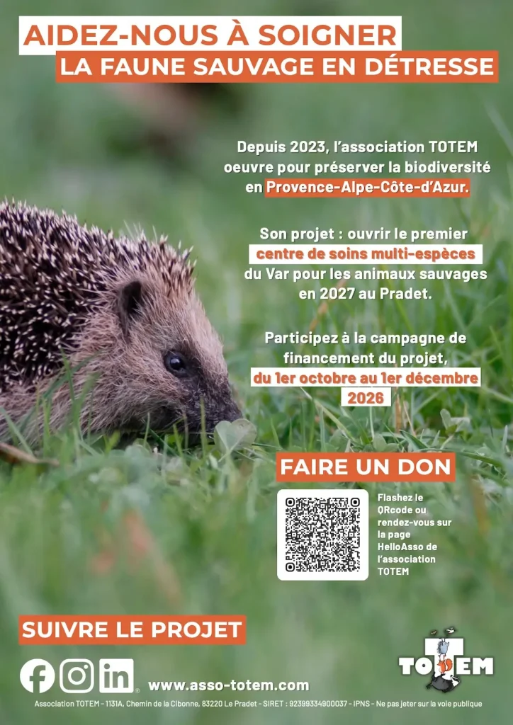 Affiche Crowdfunding Totem PACA
