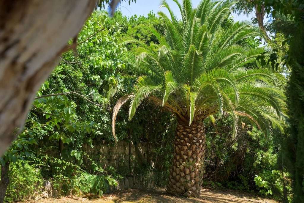 Rental property of the week Châteauneuf-Grasse - exterior